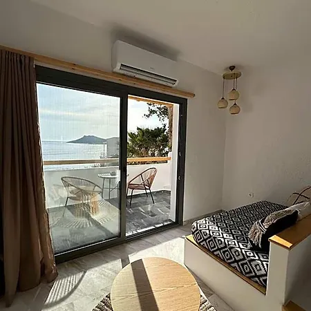 Spongia & 4*